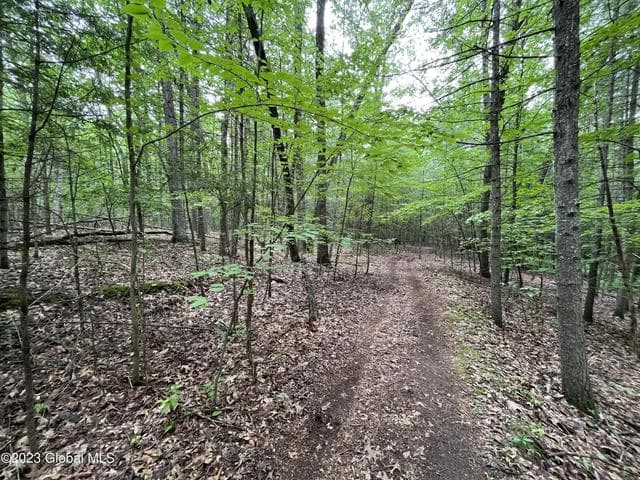 L19.22 Homestead Road, Northumberland, NY, photo 1