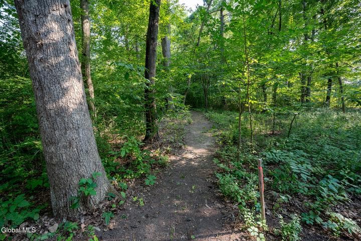 47 Wheeler Road, Glenmont, NY, photo 2
