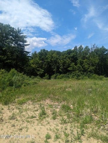 10 Dutch Lane, Halfmoon, NY, photo 3