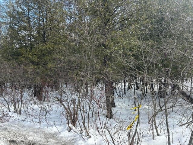 L24 Hogback Road, Crown Point, NY, photo 4