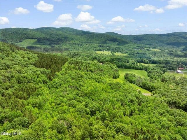 L3 Durham Road, Conesville, NY, photo 5