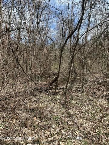 727 County Route 77, Greenwich, NY, photo 4