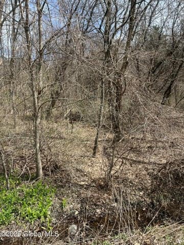 727 County Route 77, Greenwich, NY, photo 5