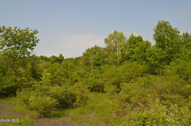 25 Barent Winne Road, Bethlehem, NY, photo 1