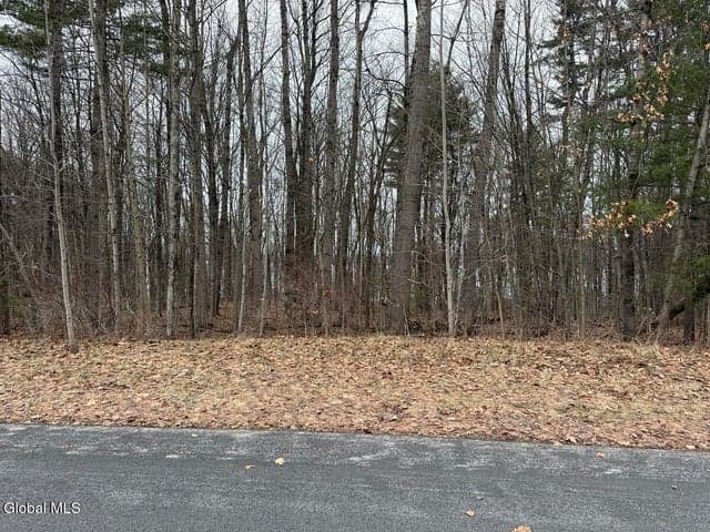 110 Trask Lane, Stillwater, NY, photo 5
