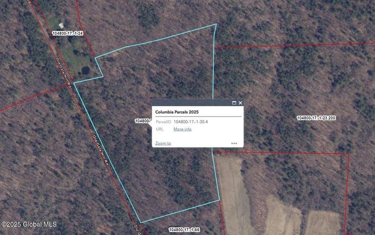 L30.4 Gale Hill Road, New Lebanon, NY, photo 3