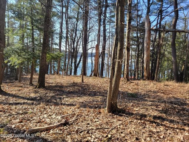 56 Blue Heron Drive Drive #Lot 2, Averill Park, NY, photo 1