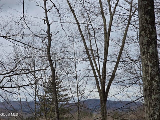 14 East Road, Stephentown, NY, photo 4