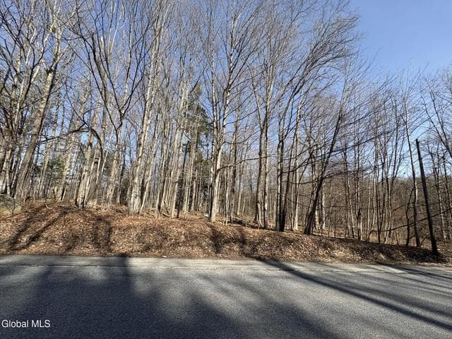 L 1 S Kingsboro Avenue, Gloversville, NY, photo 4