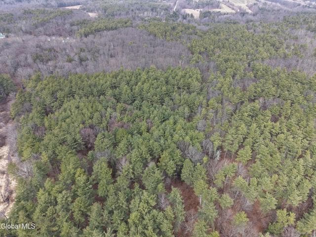 Lot 54 Rr 51, New Baltimore, NY
