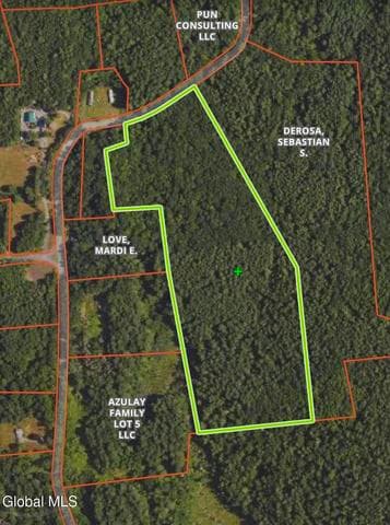 Lot 54 Rr 51, New Baltimore, NY, photo 2