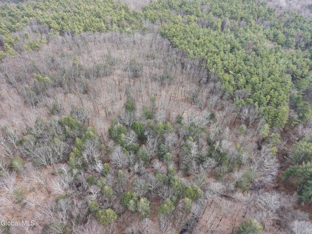Lot 54 Rr 51, New Baltimore, NY, photo 3