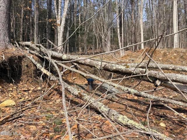 1397 N Shore Road, Hadley, NY, photo 5