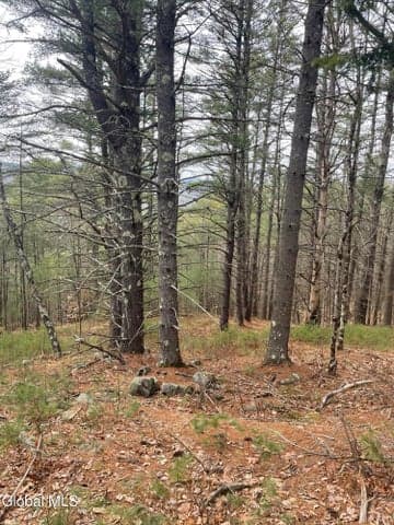 36 Fawn Ridge Road, Chester, NY, photo 2