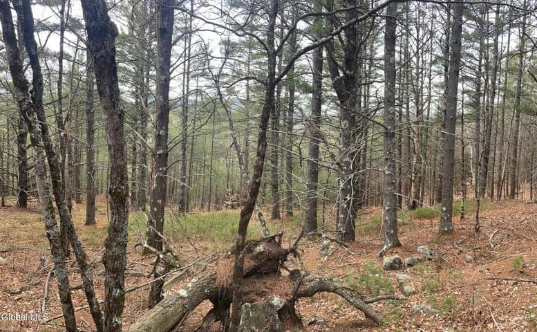 36 Fawn Ridge Road, Chester, NY, photo 3
