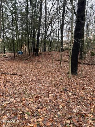 27 S Copeland Pond Way, Fort Ann, NY, photo 5