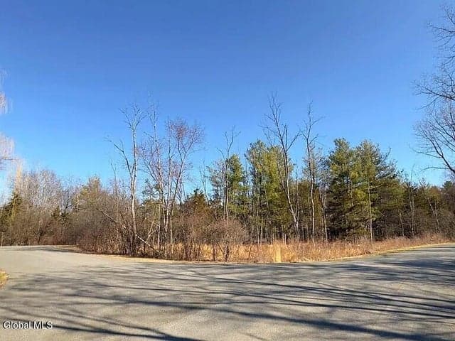 L38 Yost Court, Coxsackie, NY, photo 5