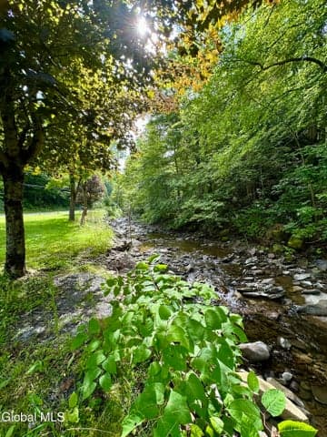 1166 Hauverville Road, Middleburgh, NY, photo 4