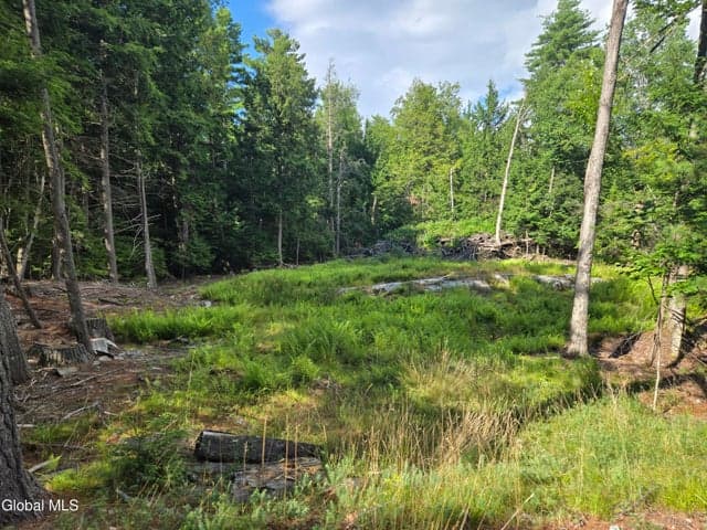 L3 Emily Lane #Lot 3, Chester, NY, photo 2