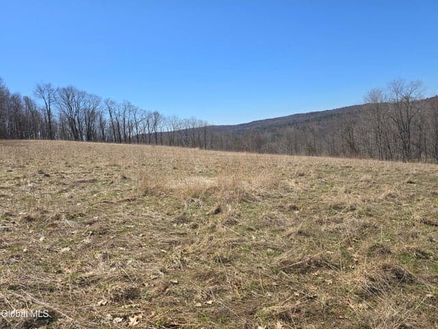 17052 NY 22, Berlin, NY, photo 5