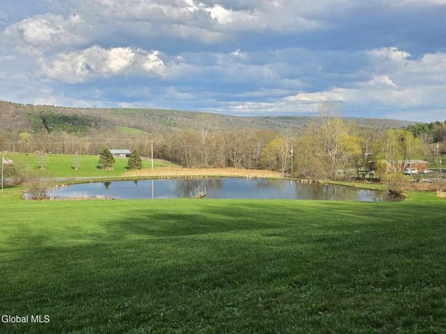 1067 Ravine Road, Berne, NY, photo 3