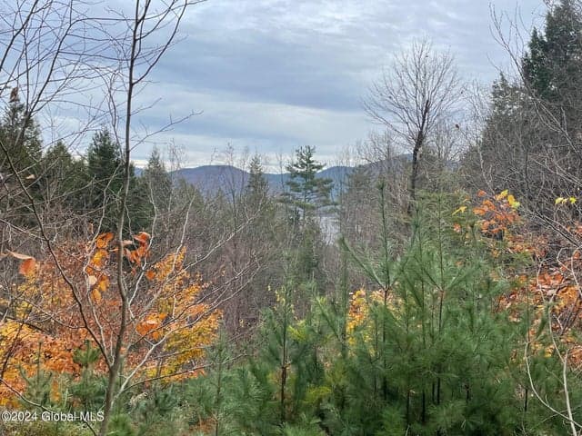 8 Lake Ridge Road, Bolton, NY, photo 4