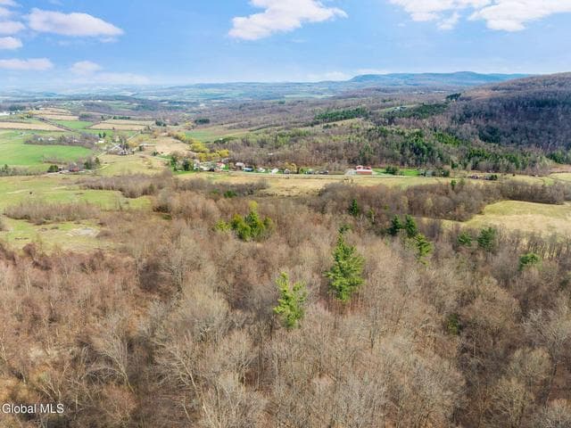 3260 County Road 31, Cherry Valley, NY, photo 4