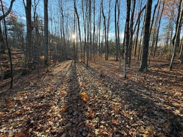 L7 Wilton Greenfield Road, Wilton, NY, photo 5