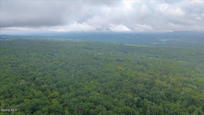 181 Liddle Road #Lot 2, Duanesburg, NY