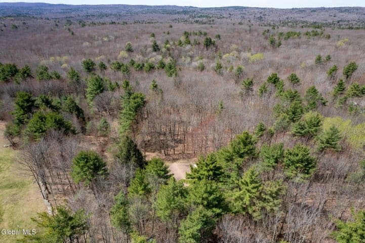 421 Potter Hill Road, Petersburgh, NY, photo 2