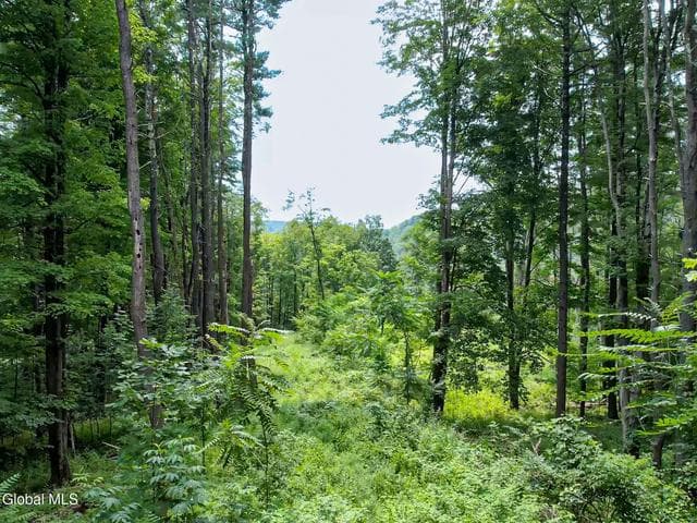 111 Blossom Hill Road, Coeymans, NY, photo 3