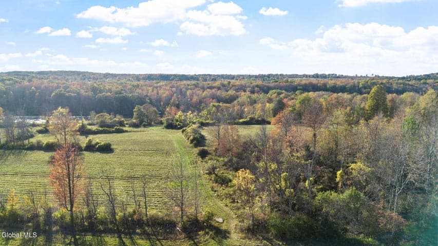 207 Kropp Road, Westerlo, NY, photo 3