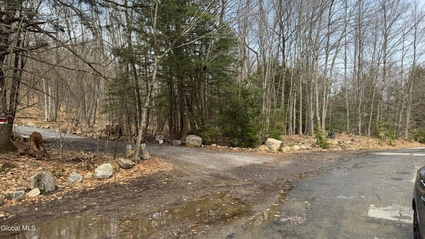 4 Spring Wood, Lake George, NY, photo 1