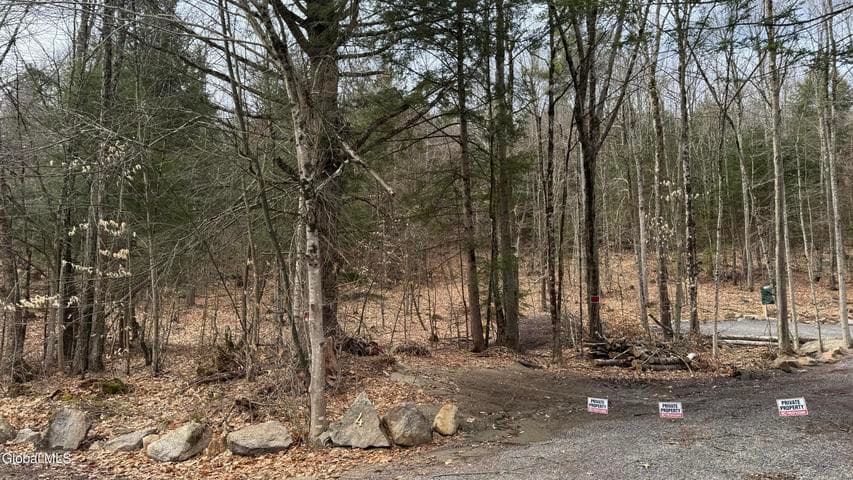 4 Spring Wood, Lake George, NY, photo 5