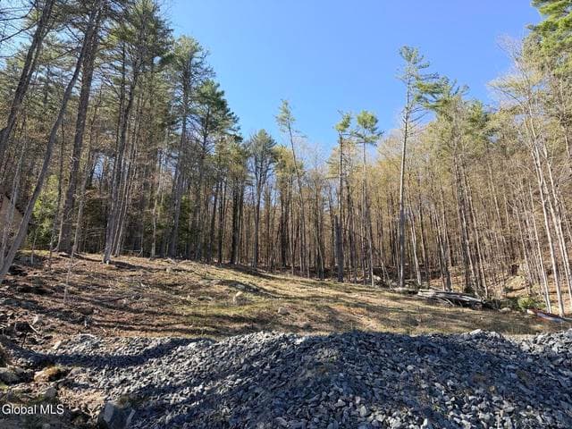 1397 N Shore Road, Hadley, NY, photo 2