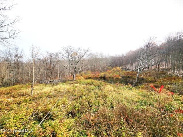 172 Mace Hill Road, Broome, NY, photo 4