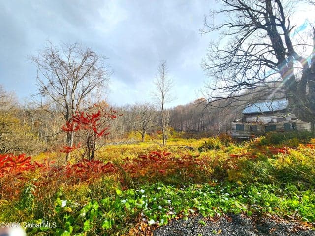 172 Mace Hill Road, Broome, NY, photo 3