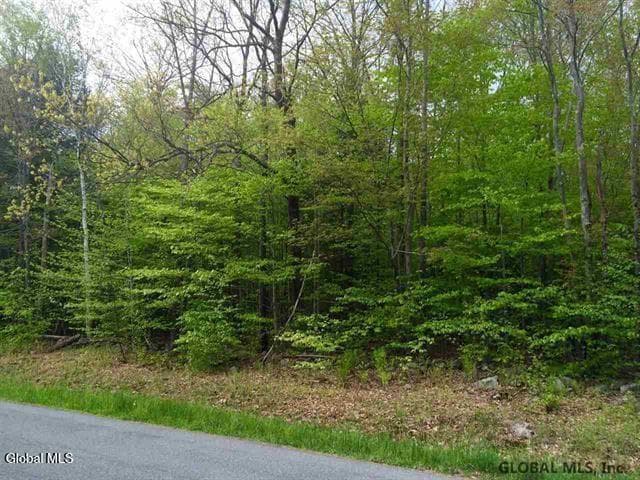 404 Toad Point Road, Petersburgh, NY, photo 1