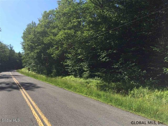 404 Toad Point Road, Petersburgh, NY, photo 2