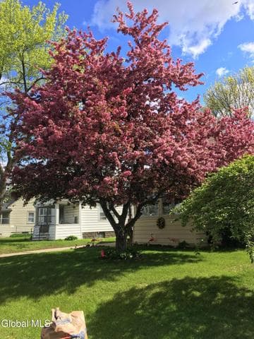 1930 Ferguson Street, Rotterdam, NY, photo 2