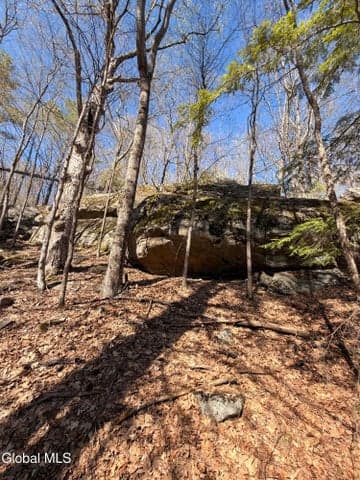 0 River Road, Thurman, NY, photo 3