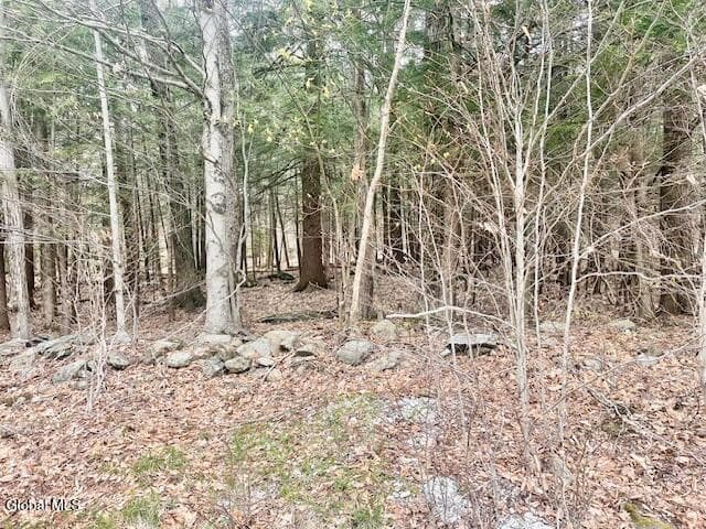 404 Toad Point Road, Petersburgh, NY, photo 3