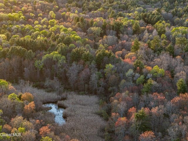 350 Church Road, Guilderland, NY, photo 2