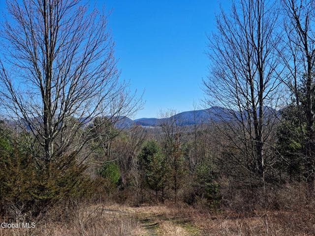 L68 State Route 149/Off #L68, Granville, NY, photo 1