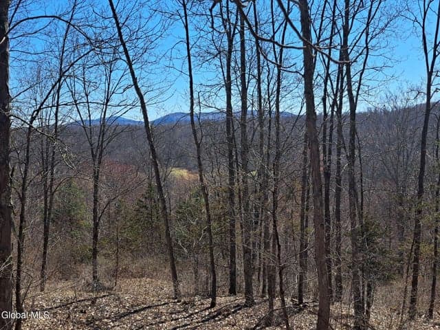 L68 State Route 149/Off #L68, Granville, NY, photo 3