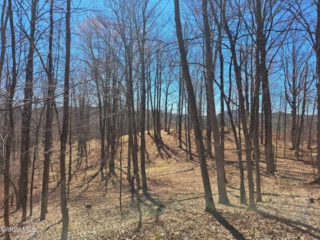 L68 State Route 149/Off #L68, Granville, NY, photo 5