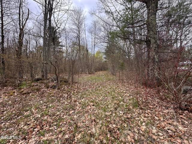 182 Furnace Road, Moriah, NY, photo 3