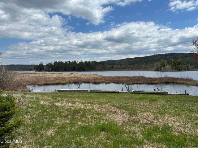L10 Palisades Road, Horicon, NY, photo 4
