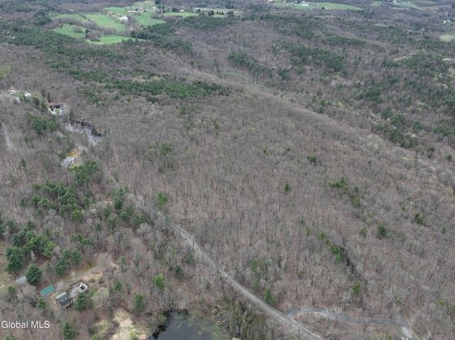 L83 Mashodack Road, Nassau, NY, photo 2