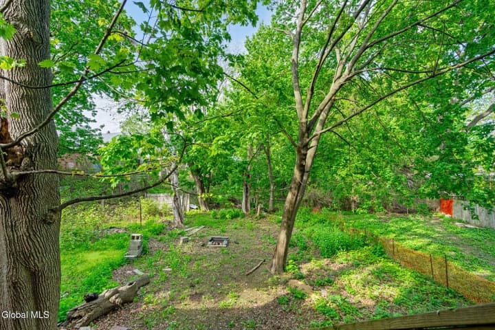 257 Western Avenue, Albany, NY, photo 5